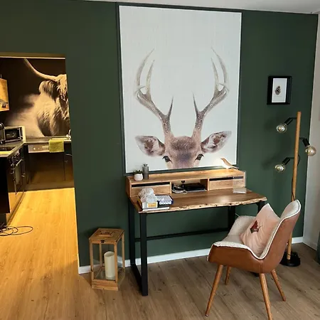 Apartmán City Apartment Baden-Baden