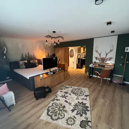 City Apartment Baden-Baden *