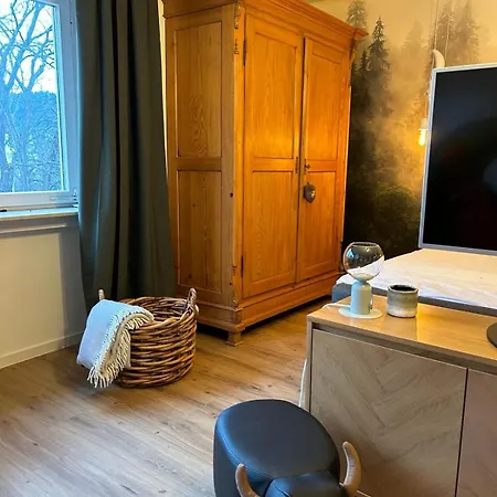 City Apartment Baden-Baden *