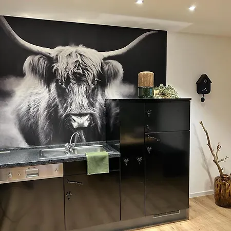 City Apartment Baden-Baden