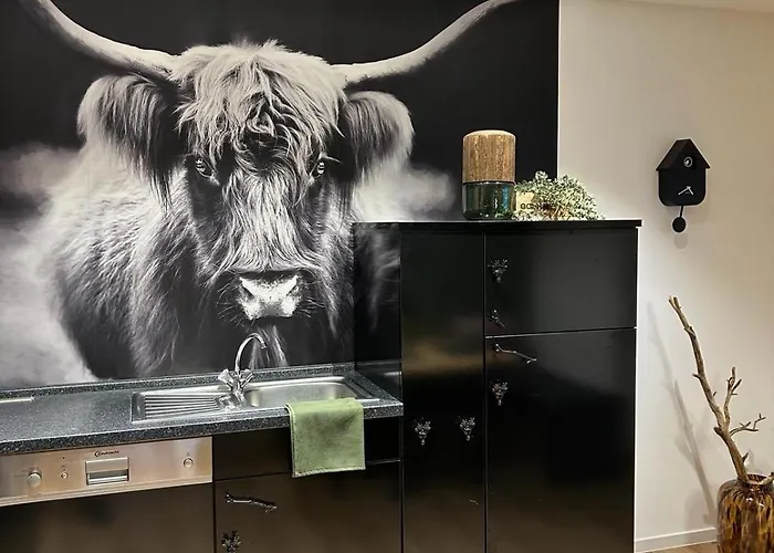 City Apartment Baden-Baden